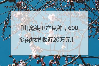 山窝头里产良种，600多亩地增收近20万元