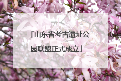 山东省考古遗址公园联盟正式成立