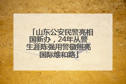 山东公安民警亮相国新办，24年从警生涯陈强用警徽照亮国际维和路