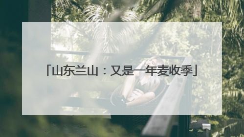 山东兰山：又是一年麦收季