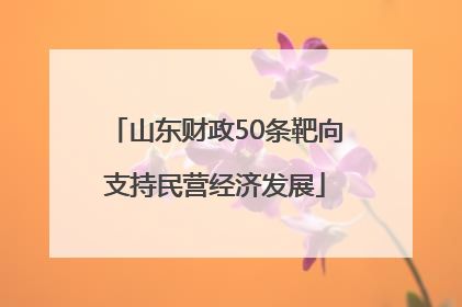 山东财政50条靶向支持民营经济发展