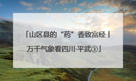 山区县的“药”香致富经丨万千气象看四川·平武③