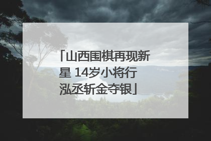 山西围棋再现新星 14岁小将行泓丞斩金夺银
