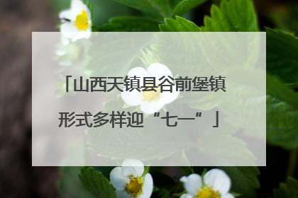 山西天镇县谷前堡镇 形式多样迎“七一”