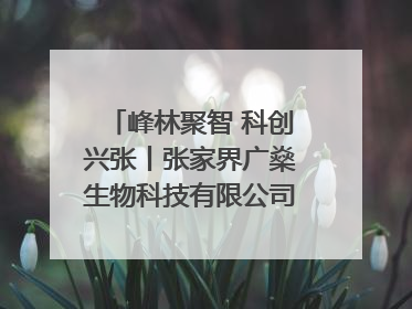 峰林聚智 科创兴张丨张家界广燊生物科技有限公司博士创新站：立足生态优势 激活“绿色宝藏”