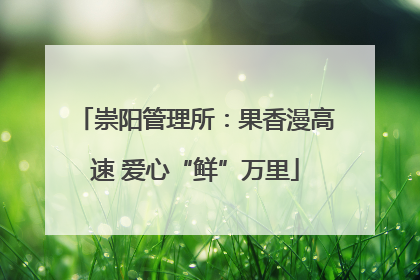 崇阳管理所：果香漫高速 爱心“鲜”万里