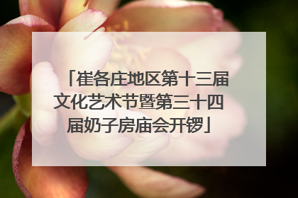 崔各庄地区第十三届文化艺术节暨第三十四届奶子房庙会开锣