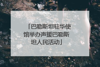巴勒斯坦驻华使馆举办声援巴勒斯坦人民活动