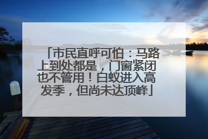 市民直呼可怕：马路上到处都是，门窗紧闭也不管用！白蚁进入高发季，但尚未达顶峰