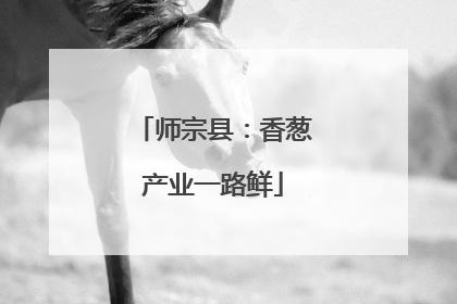 师宗县：香葱产业一路鲜