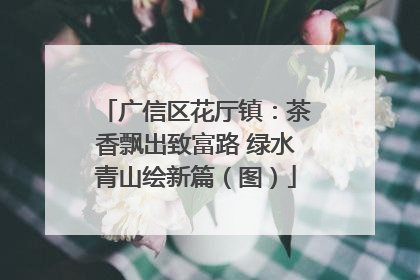广信区花厅镇：茶香飘出致富路 绿水青山绘新篇（图）