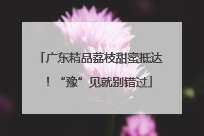 广东精品荔枝甜蜜抵达！“豫”见就别错过