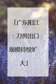 广东阳江：刀剪出口规模持续扩大