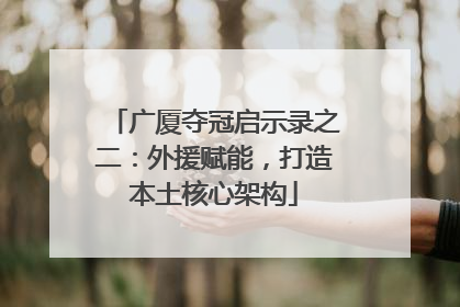 广厦夺冠启示录之二：外援赋能，打造本土核心架构