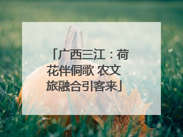 广西三江：荷花伴侗歌 农文旅融合引客来