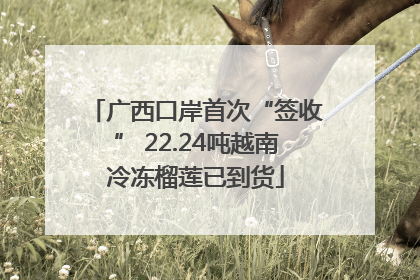 广西口岸首次“签收” 22.24吨越南冷冻榴莲已到货