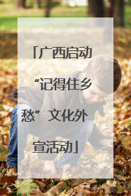 广西启动“记得住乡愁”文化外宣活动