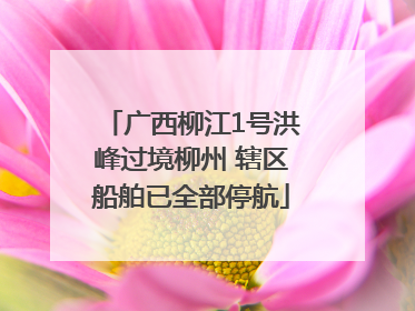 广西柳江1号洪峰过境柳州 辖区船舶已全部停航