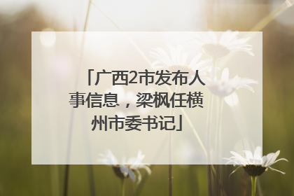 广西2市发布人事信息，梁枫任横州市委书记