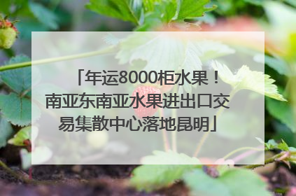 年运8000柜水果！南亚东南亚水果进出口交易集散中心落地昆明