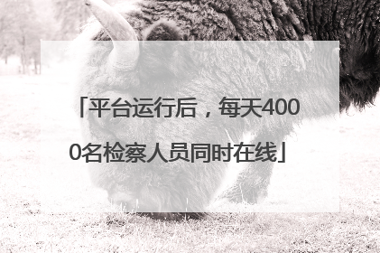 平台运行后，每天4000名检察人员同时在线