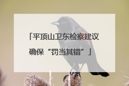 平顶山卫东检察建议确保“罚当其错”
