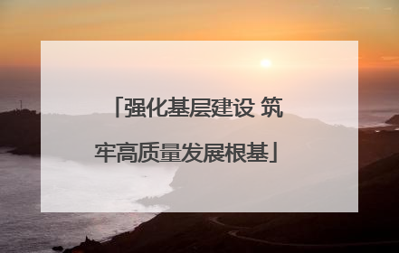 强化基层建设 筑牢高质量发展根基