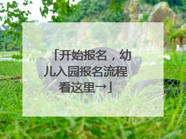 开始报名，幼儿入园报名流程看这里→