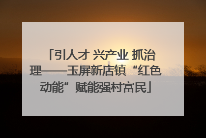 引人才 兴产业 抓治理——玉屏新店镇“红色动能”赋能强村富民