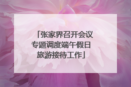 张家界召开会议专题调度端午假日旅游接待工作