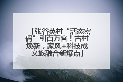 张谷英村“活态密码”引百万客！古村焕新，家风+科技成文旅融合新爆点