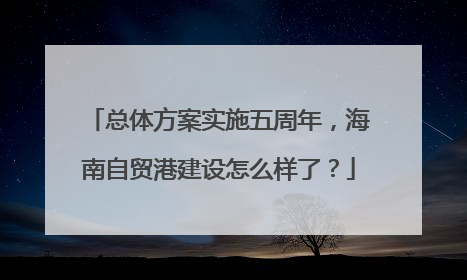 总体方案实施五周年，海南自贸港建设怎么样了？