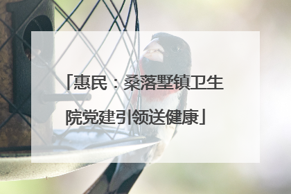 惠民：桑落墅镇卫生院党建引领送健康