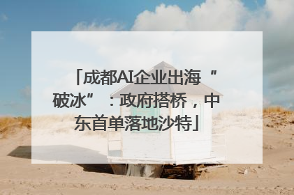成都AI企业出海“破冰”：政府搭桥，中东首单落地沙特
