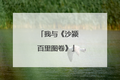 我与《沙颍百里图卷》