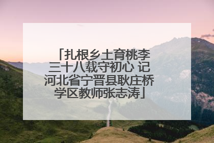 扎根乡土育桃李 三十八载守初心 记河北省宁晋县耿庄桥学区教师张志涛