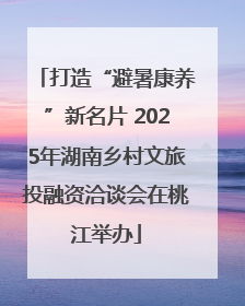 打造“避暑康养”新名片 2025年湖南乡村文旅投融资洽谈会在桃江举办