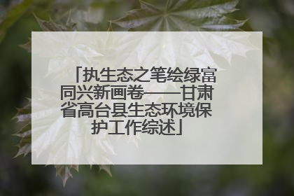 执生态之笔绘绿富同兴新画卷——甘肃省高台县生态环境保护工作综述