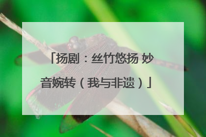 扬剧：丝竹悠扬 妙音婉转（我与非遗）