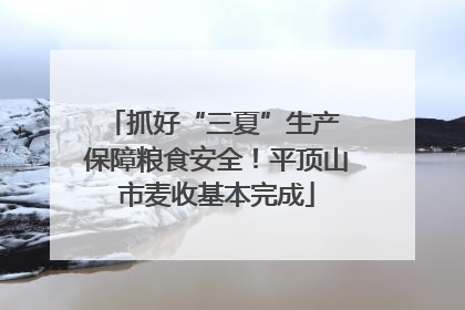 抓好“三夏”生产 保障粮食安全！平顶山市麦收基本完成
