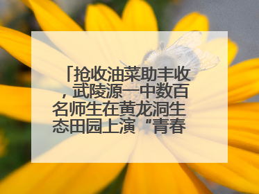 抢收油菜助丰收，武陵源一中数百名师生在黄龙洞生态田园上演“青春助农记”