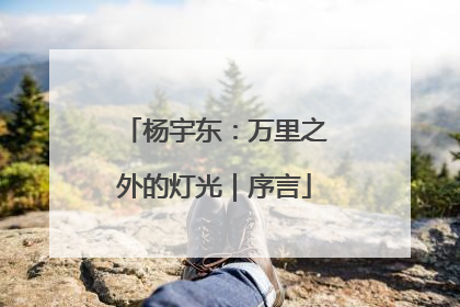 杨宇东：万里之外的灯光｜序言