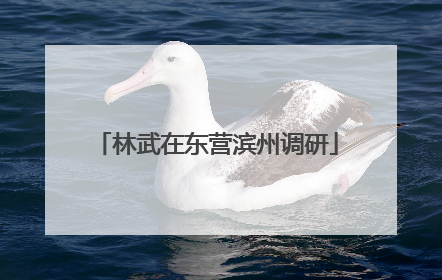 林武在东营滨州调研