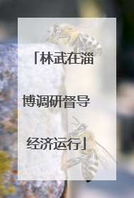 林武在淄博调研督导经济运行