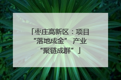 枣庄高新区：项目“落地成金” 产业“聚链成群”