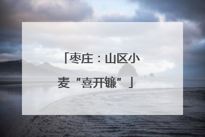 枣庄：山区小麦“喜开镰”