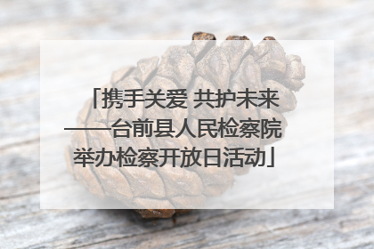 携手关爱 共护未来——台前县人民检察院举办检察开放日活动