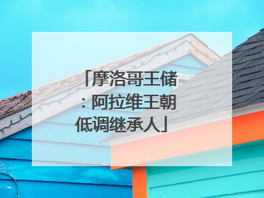 摩洛哥王储：阿拉维王朝低调继承人
