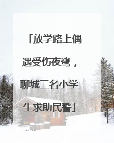 放学路上偶遇受伤夜鹭，聊城三名小学生求助民警
