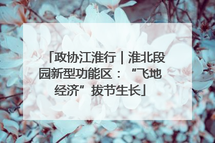 政协江淮行｜淮北段园新型功能区：“飞地经济”拔节生长